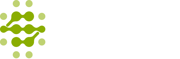 Syny